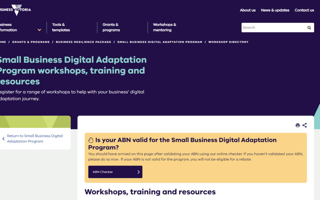 Small Business Digital Adaptation Program